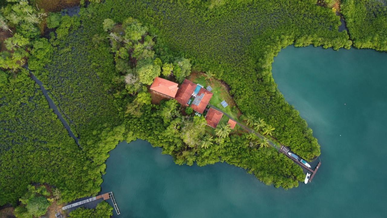 ボカス・タウン Casa Marlin Bed & Breakfast エクステリア 写真