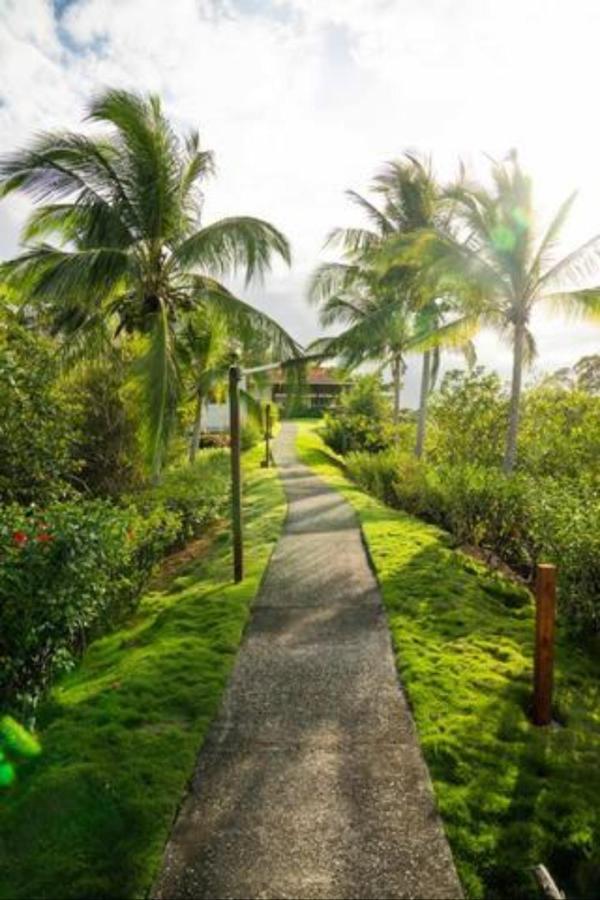 ボカス・タウン Casa Marlin Bed & Breakfast エクステリア 写真